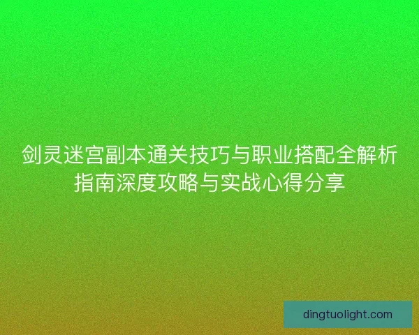 剑灵迷宫副本通关技巧与职业搭配全解析指南深度攻略与实战心得分享